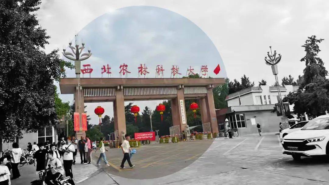 破次元的色彩對撞：反色差奇遇:色彩色差儀
